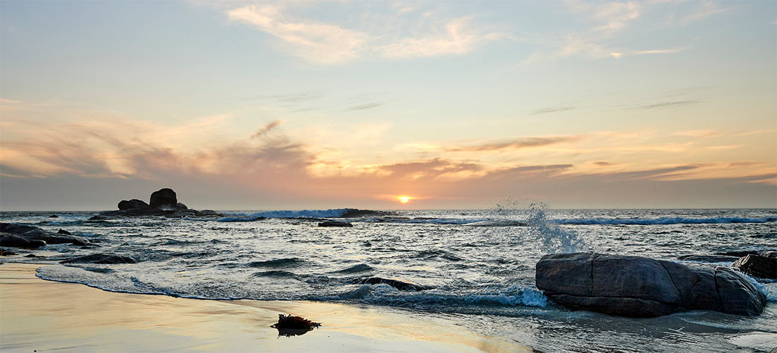 Beach at Moss Brothers